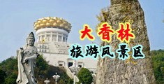 插菊黄色小视频中国浙江-绍兴大香林旅游风景区